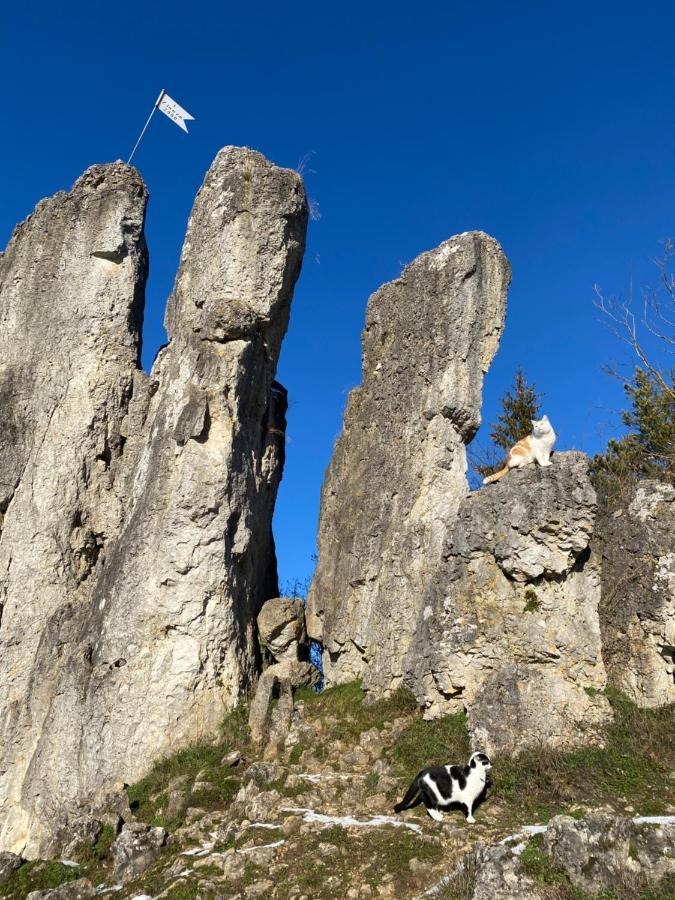 Gasthof Zur Sagemuhle Lejlighed Hiltpoltstein Eksteriør billede